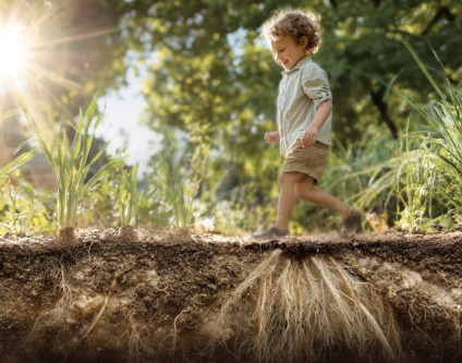 Potrzeby – mini cykl w 4 częściach – cz. 1. Między mlekiem a miodem